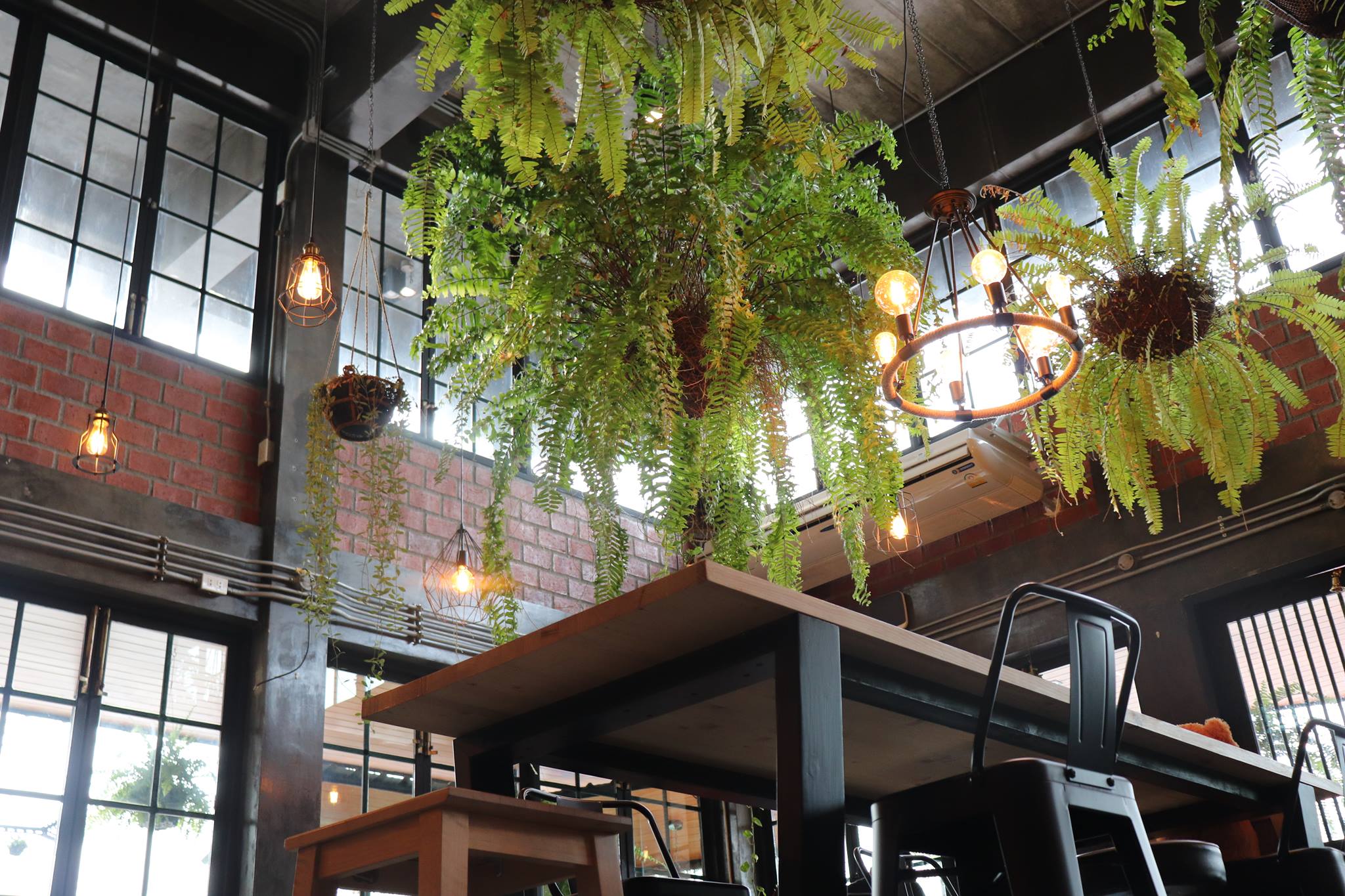 คาเฟ่-สวนหย่อม-ลาดพร้าว71-7